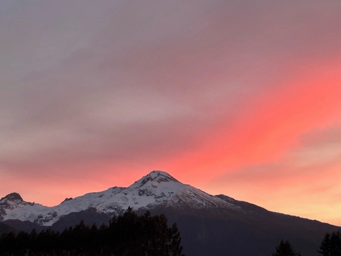 Screenshot 2026-01-28 at 12.29